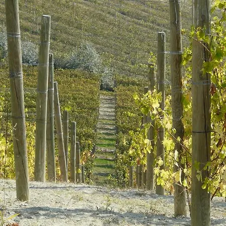 Tenuta Tenaglia