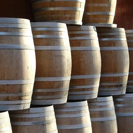 ファームステイ Tenuta Tenaglia