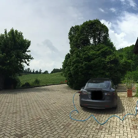 Tenuta Tenaglia 세라궁가 디 크레아